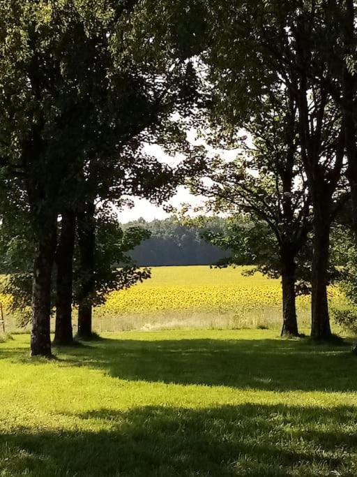 As Seen On A New Life In The Sun - Beautiful 3 Bedroom Cottage With Shared Pool Montboyer Buitenkant foto